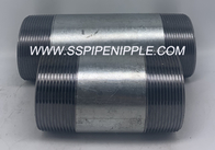Seamless Galvanized Pipe Nipple Durable Carbon Steel Pipe Nipples